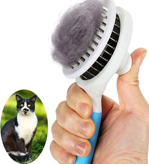 Pets Cleaning Brush